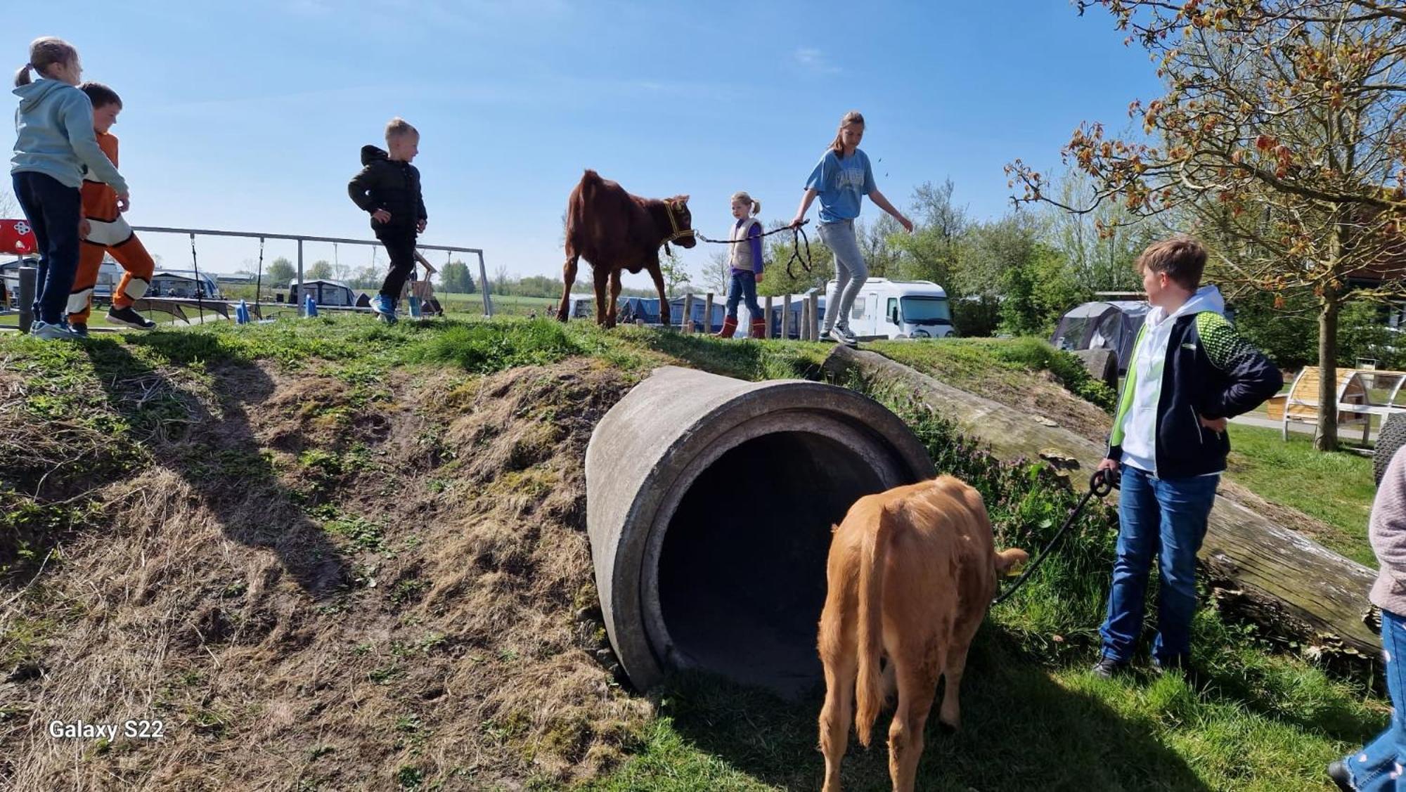 De Broodkist Villa Koudekerke Dış mekan fotoğraf